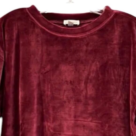 Garnet Hill Moonrise Velour Pullover Velvet Red Women's Top large - Picture 3 of 7